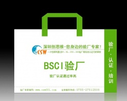 祝贺深圳市安迪声电子科技有限公司顺利通过SGS BSCI验厂